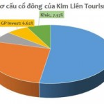 REE đăng ký mua trọn lô 52% cổ phần Du lịch Kim Liên - Ảnh 1